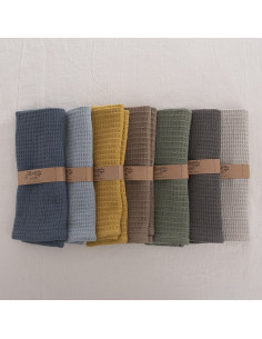 Promo 5 + 1 free: Paños  de  WAFFLE SURTIDOS