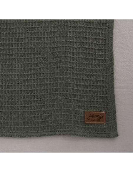 Promo 5 + 1 free: Paños  de  WAFFLE SURTIDOS