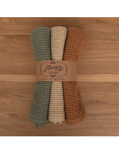 Paño de Waffle Reversible  x 3