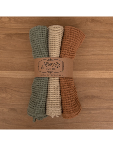 Paño de Waffle Reversible  x 3