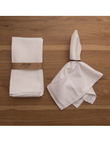 Servilletas Antimanchas XL- Pack x 4