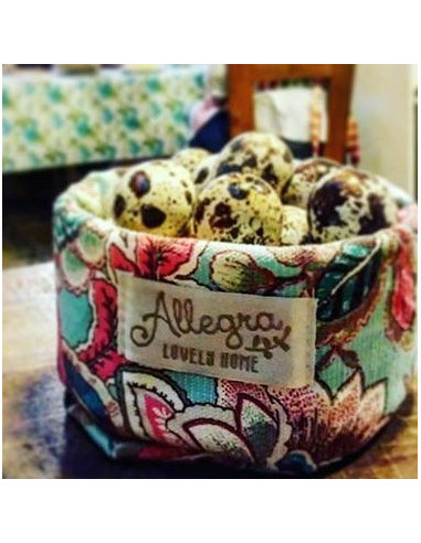 Paneras Individuales Con Puntilla Set x4