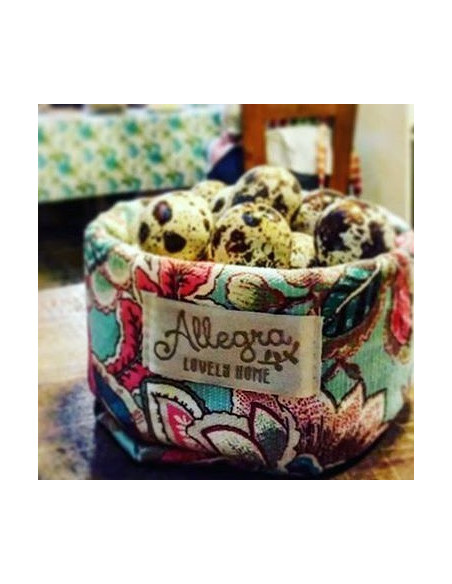 Paneras Individuales Con Puntilla Set x4