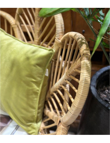 Almohadón Pana 50 x 50